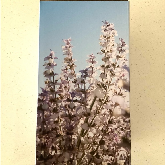 DIFFUSER CERAMIC HAVEN YOUNG LIVING NEW INCLUDES TWO OILS - Picture 8 of 9